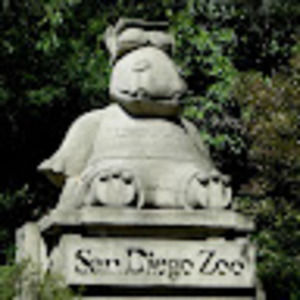 Meet your Posher, Celena